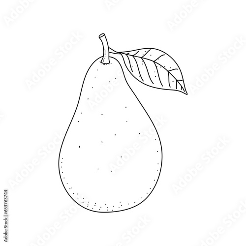 Avocado doodle outline icon. Logo organic fruit and vegetable isolated on white background