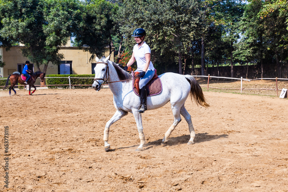 female rider trains the horse in the parcour female rider trains the horse in the parcour