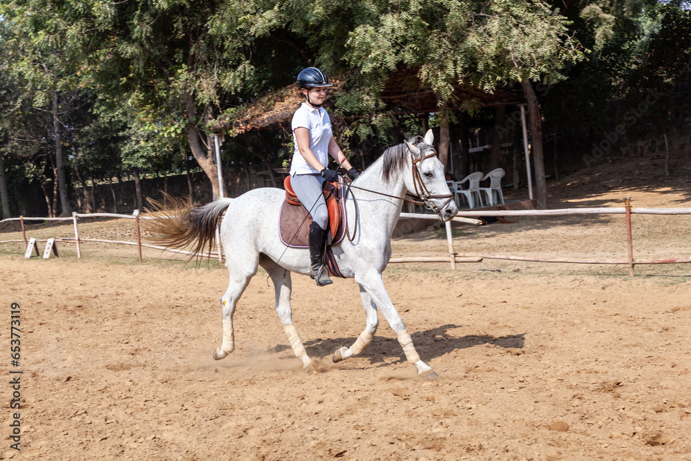 female rider trains the horse in the parcour female rider trains the horse in the parcour