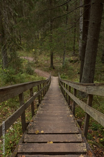 Wooden walkway in forest in summer, Nuuksio National Park, Espoo, Finland.