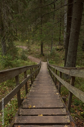 Wooden walkway in forest in summer, Nuuksio National Park, Espoo, Finland. © Raimo