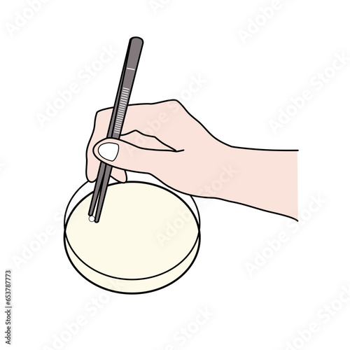 The once step of Antibiotic susceptibility test that shows putting of antimicrobial drugs pad on agar surface in culture plate for detection of microorganism resistance to the drugs in pad.