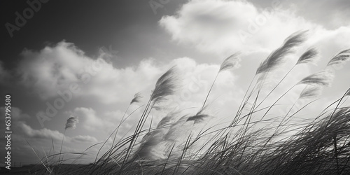 Monochrome, black and white, wispy clouds, ethereal, fine art photography