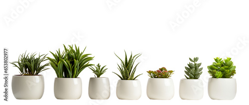 Set of plants in ceramic pots. Decoration plants. Fresh agriculture. Front view. Isolated on Transparent background.