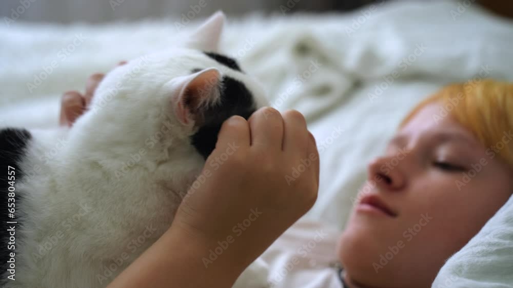 The girl strokes the cat that lies on her. Side view. Sharpness on a cat. The girl strokes the cat that lies on her. Side view. Sharpness on a cat.