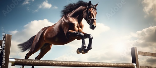Equestrian maneuver horse clearing obstacles © AkuAku