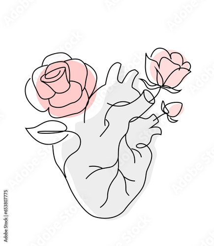 human heart anatomy organ with flower art