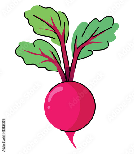 purple radish whit leaf