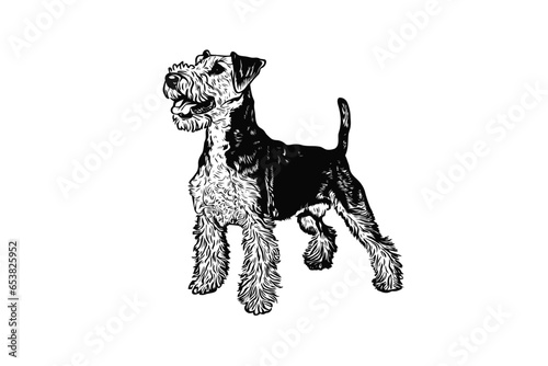 Airedale Terrier Essence: Stunning Vector Art for Dog Aficionados