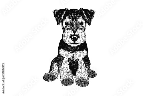Airedale Terrier Beauty: Exquisite Vector Art for Canine Enthusiasts