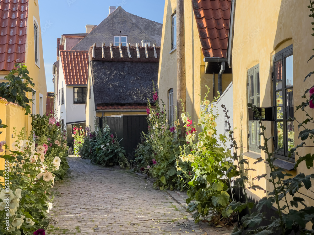Cobblestone alley with hollyhocks in the little Danish harbour town of Dragør just south of Copenhagen