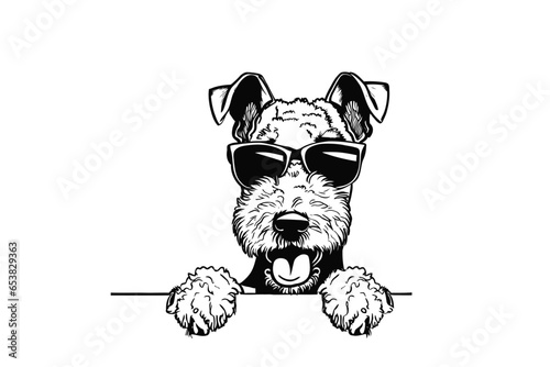 Stylish Shades: Peek-A-Boo Airedale Terrier in Sunglasses Vector