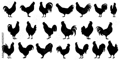 set of silhouettes of hen. isolated on transparent background. eps 10