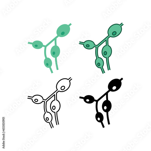 Size increase of the lymph nodes, lympho nodus gland. Medical symptoms of lymphoma, lymphadenopathy part of circulatory system. Lymph nodes icon. Vector illustration. Design