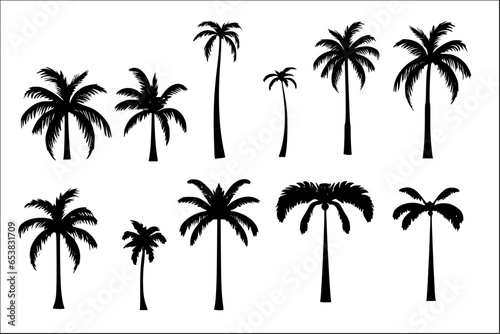 Set of Tropical palm trees silhouettes black color isolated on white 