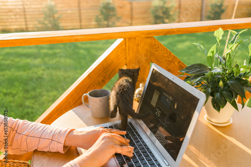 Work from home or study online and videocall with a woman gardener working at laptop outdoor on terrace with kitten close-up, sitting on ratang chair around houseplant and flower pots photo