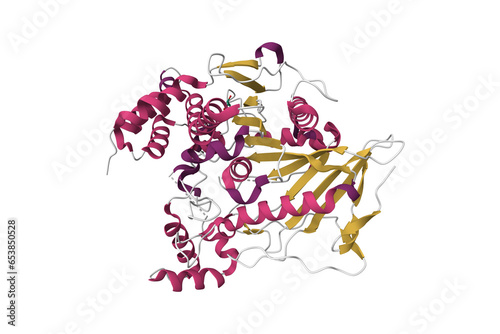 Crystal structure of native recombinant human bile salt activated lipase. 3D cartoon model, secondary structure color scheme, PDB 6h0t