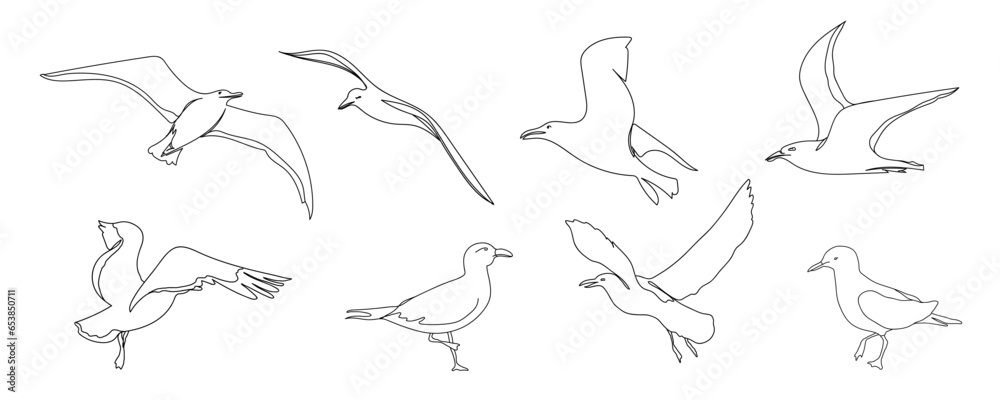 One line seagull hand drawn set. Outline seagull flying. Hand drawn minimalism style vector illustration. Beautiful sea life design elements.