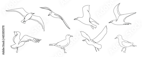 One line seagull hand drawn set. Outline seagull flying. Hand drawn minimalism style vector illustration. Beautiful sea life design elements.