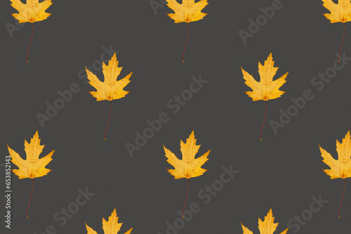Orange fallen maple leaves pattern on grey background.