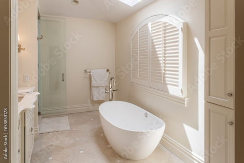 elegant residential bathroom in bright light