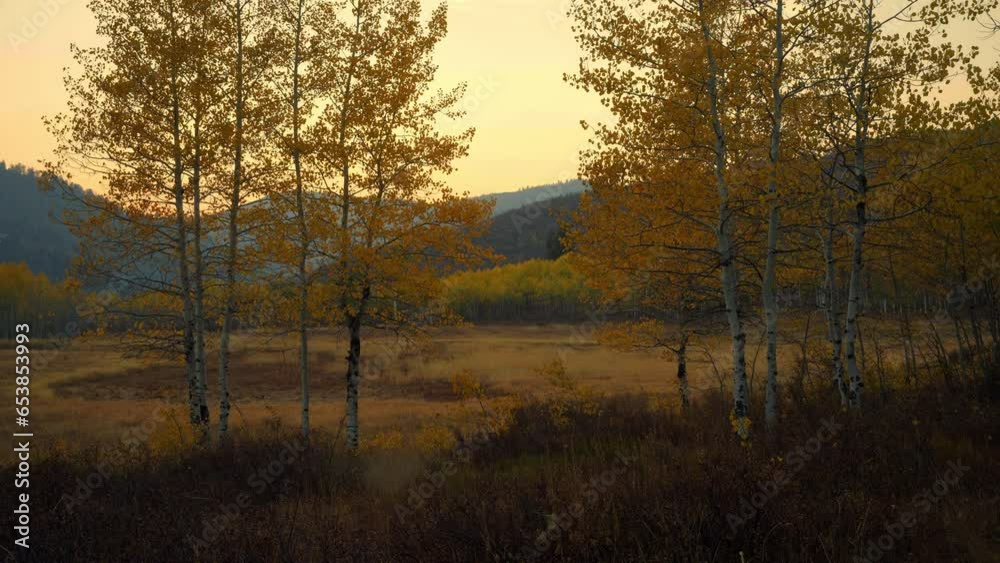 Beautiful Autumn Leaves And Valley At Dusk Beautiful Autumn Leaves And Valley At Dusk