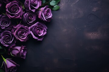 violet roses border frame on dark wooden background top view, floral template with copy space