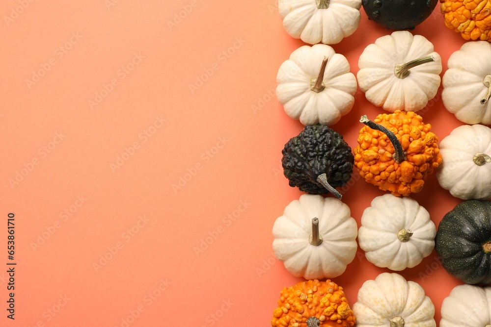 Different ripe pumpkins on coral background, flat lay. Space for text Different ripe pumpkins on coral background, flat lay. Space for text