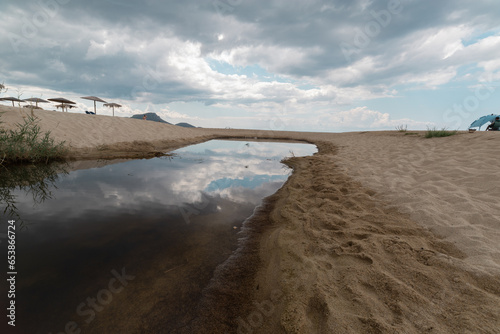 lake in the shore