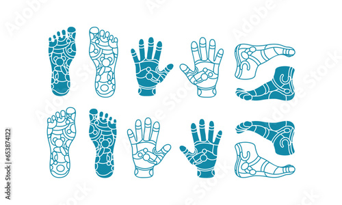 set of reflexiology vector icon