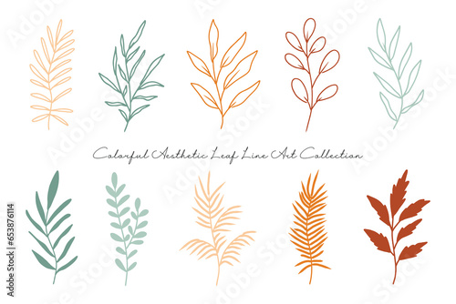 Aesthetic Leaf Line Art Collection