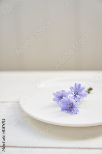 Chicory flowers lie on a saucer, on a white background. Beautiful wild blue or purple flowers, Beautiful background, with space to copy. High quality photo