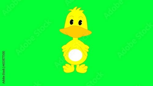 cute cartoon duck background and 2d animation, Cartoon character, baby duck, green screen