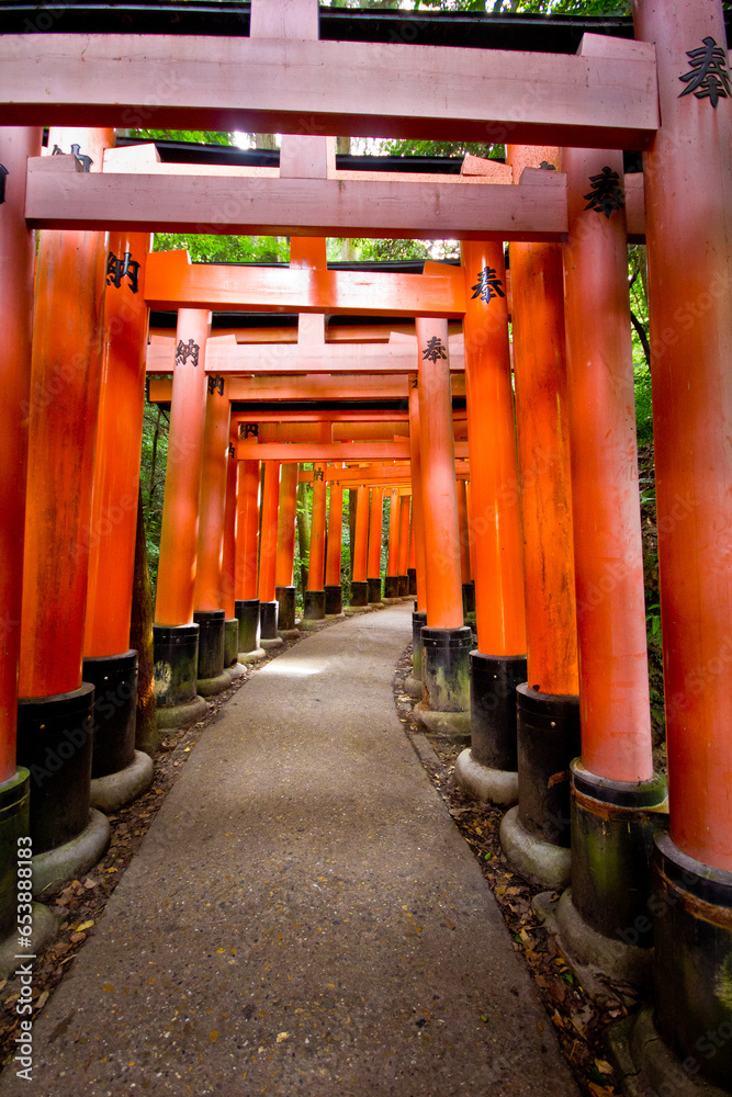 Torii gates at fushimi inari buddhist temple in kyoto in japan
Torii gates at fushimi inari buddhist temple in kyoto in japan