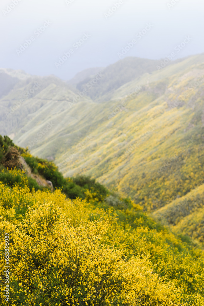 Obraz premium Travelling and exploring Madeira island landscapes and famous places. Summer tourism by Atlantic ocean and mountains. Outdoor views on beautiful water, sky, cliffs, coastline and travel destination.