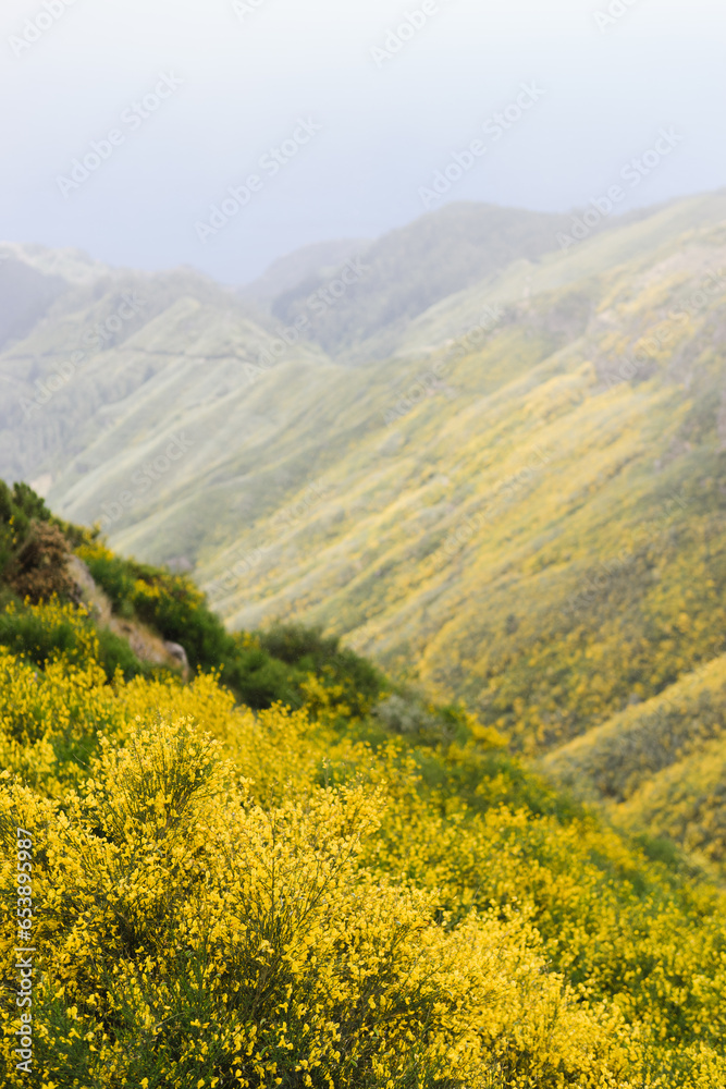 Travelling and exploring Madeira island landscapes and famous places. Summer tourism by Atlantic ocean and mountains. Outdoor views on beautiful water, sky, cliffs, coastline and travel destination.