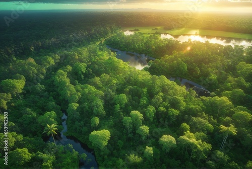 Anavilhanas archipelago, flooded amazonia forest in Negro River, Amazonas, Brazil. Aerial drone view  © Serajul