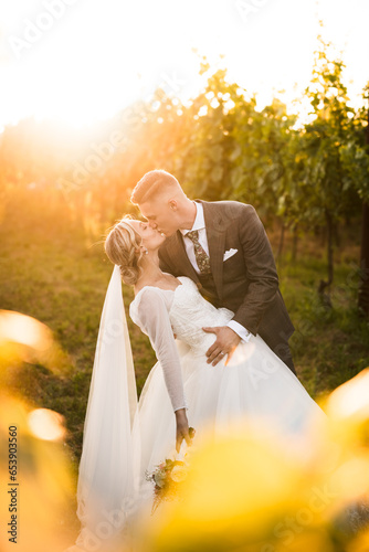 beautiful bride in white dress and groom kissing in the middle of vineyard and grapes, groom holding bride,sunny day, love is in the air, wedding photography