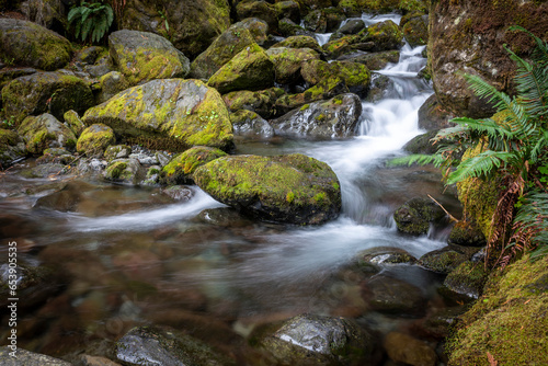 Long Exposure of the rushing water, rocks, and moss of Bunch Falls near Lake Quinault in the Olympic National Forest; Amanda Park, Washington, United States of America