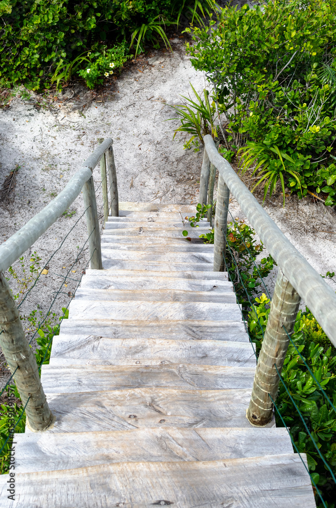 View of a wooden staircase to one of the trails in Parque das Dunas in the city of Salvador, Bahia. View of a wooden staircase to one of the trails in Parque das Dunas in the city of Salvador, Bahia.