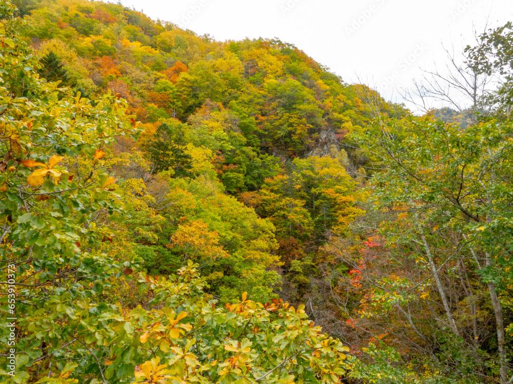 定山渓の紅葉（北海道札幌市南区）