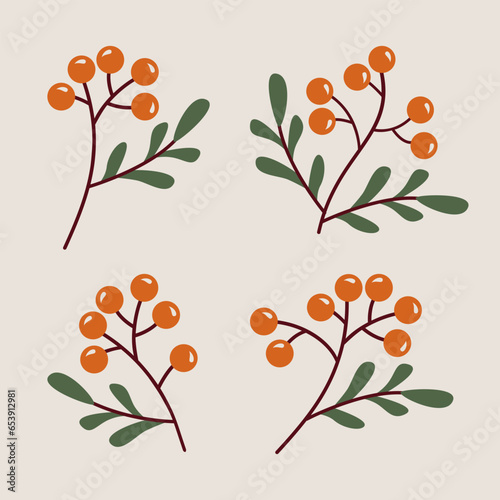 Mountain ash rowan branches and berries in cartoon flat style
