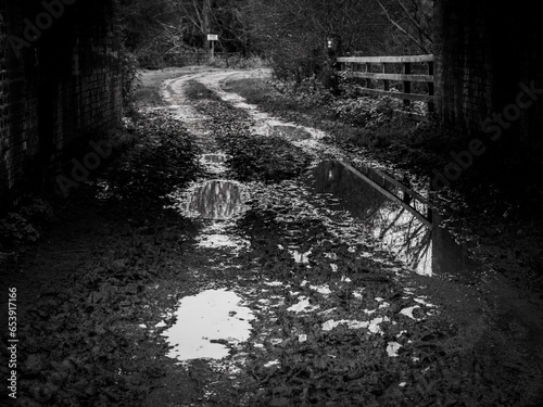 Mud in black and white under bridge