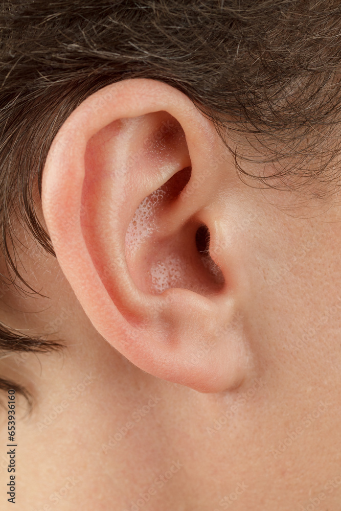 Human auricle structure of the outer ear ear canal Anatomy hearing problems close-up Human auricle structure of the outer ear ear canal Anatomy hearing problems close-up