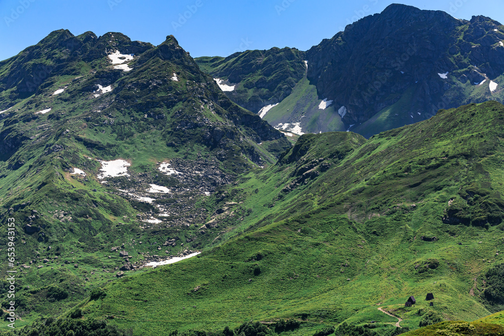 Large, high, green mountains, snow on the peaks, summer, sunny day, Abkhazia, forest.