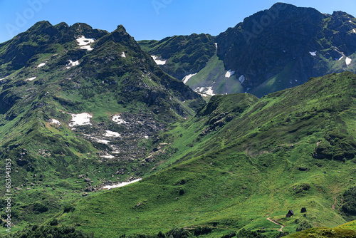 Large, high, green mountains, snow on the peaks, summer, sunny day, Abkhazia, forest.