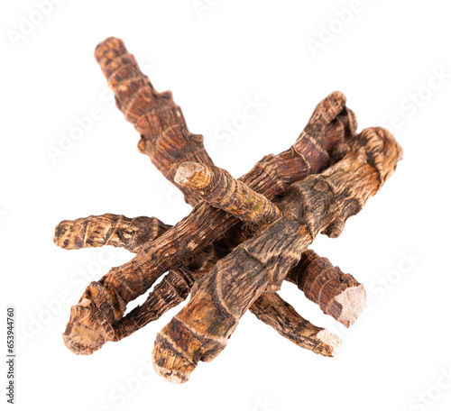 Calamus root isolated on white background. Sweet flag, sway or muskrat root, vasambu. Dry root of Acorus calamus.