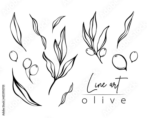 Set of botanical line illustration of olive leaves, branch for wedding invitation and cards, logo design, web, social media and posters template. Elegant minimal style floral vector isolated.	