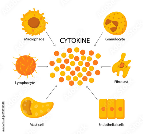 Cytokine structure vector concept photo