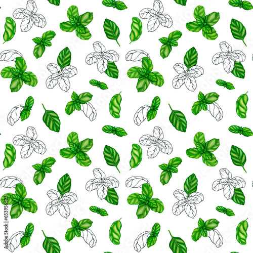 Basil drawing seamless pattern. Isolated plant with leaves background. Herbal watercolor illustration. Detailed organic product sketch. Cooking spicy ingredient